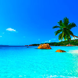 caribbean-blue-cropped.jpg caribbean-blue-cropped.jpg